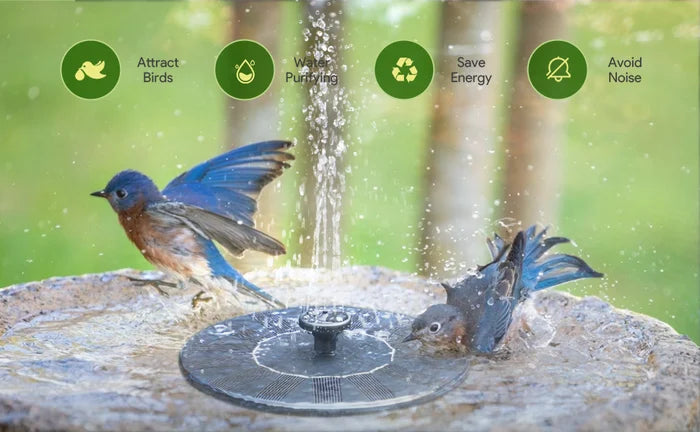 🌞New arrival 70% OFF!⛲Compact Solar Bird Fountain Pump – Keep Your Garden Alive!🏖️